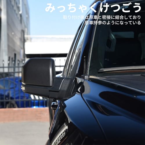 REYLNXR Kurze Antenne Autoantenne Radioantenne Signalverstärkung Automobilantenne Universell (Design C)