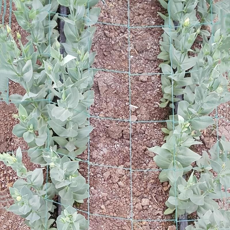 1pc Plant Climbing Net, Trellis Netting For Climbing Plants, Planting Supplies & Tools