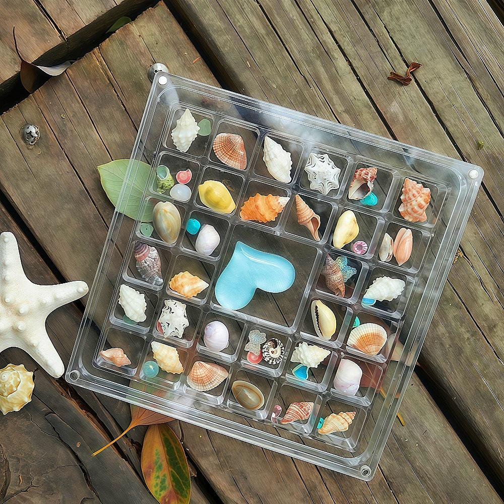 Acrylic Large Transparent Seashell and Stones Display Box with Magnetic Multi-Grid Storage