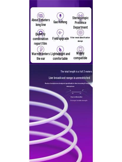 In-Ear Wired Computer Headphones with 2-3 Meter Cable & Microphone for Live Streaming