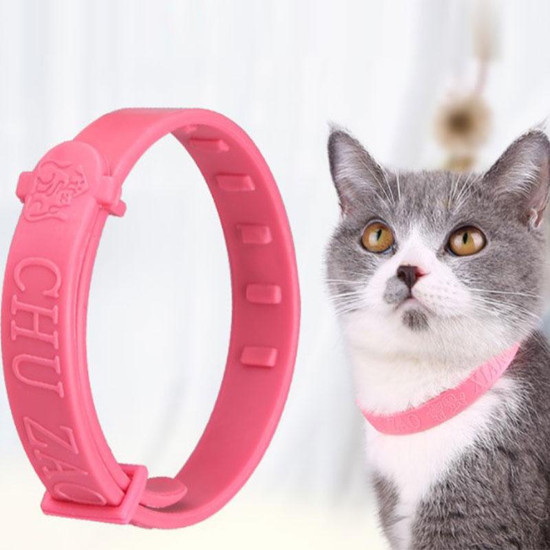 pink flea collar