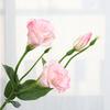 Artificial Platycodon Grandiflorus Flower with 2 Head Blooms And 1 Bud Fake Silk Flower with Stem And Leaves for Wedding Party Kitchen Bedroom Baby