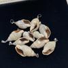10Pcs Natural Jade Shell Charms 12×26~14×34mm Seashell Pendants With Silver Bail Beach DIY Jewelry