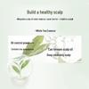 Shulei Shuojin Oil Control Anti-Dandruff Shampoo