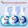 Walch Healthy Care Antibacterial Foaming Hand Wash