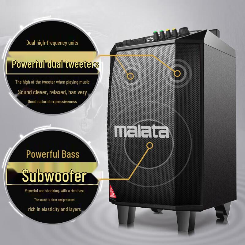 Malata M+9015C 8-Inch Portable Outdoor PA Speaker (CN Version)