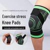 Shansheng Sports Protective Gear Collection