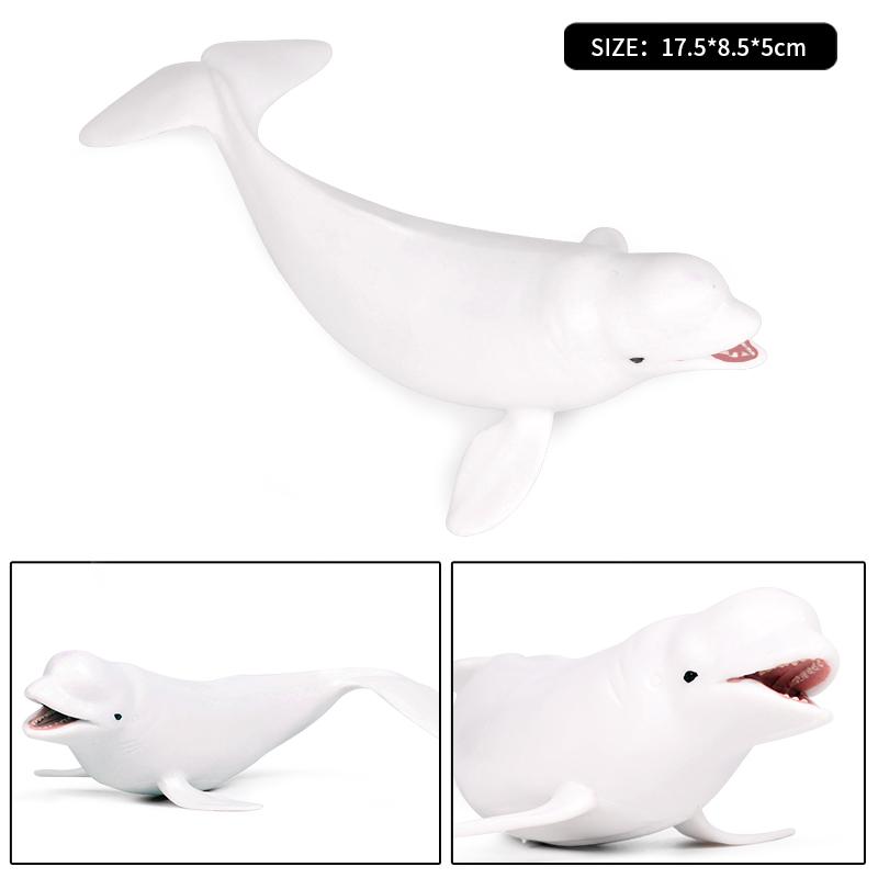 Oenux Ocean Animal Savage Megalodon Beluga Big Shark Orca Sperm Blue Whale Action Figures Sea Life Model Educational Kids Toy