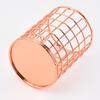 Nordic Gold Iron Art Pen & Makeup Brush Holder - Desktop Storage Tube