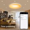 30W Intelligent RGB Dimming Ceiling Lamp 220 V Wi-fi+BT 2.4G Remote Controlling Built-in Microphone