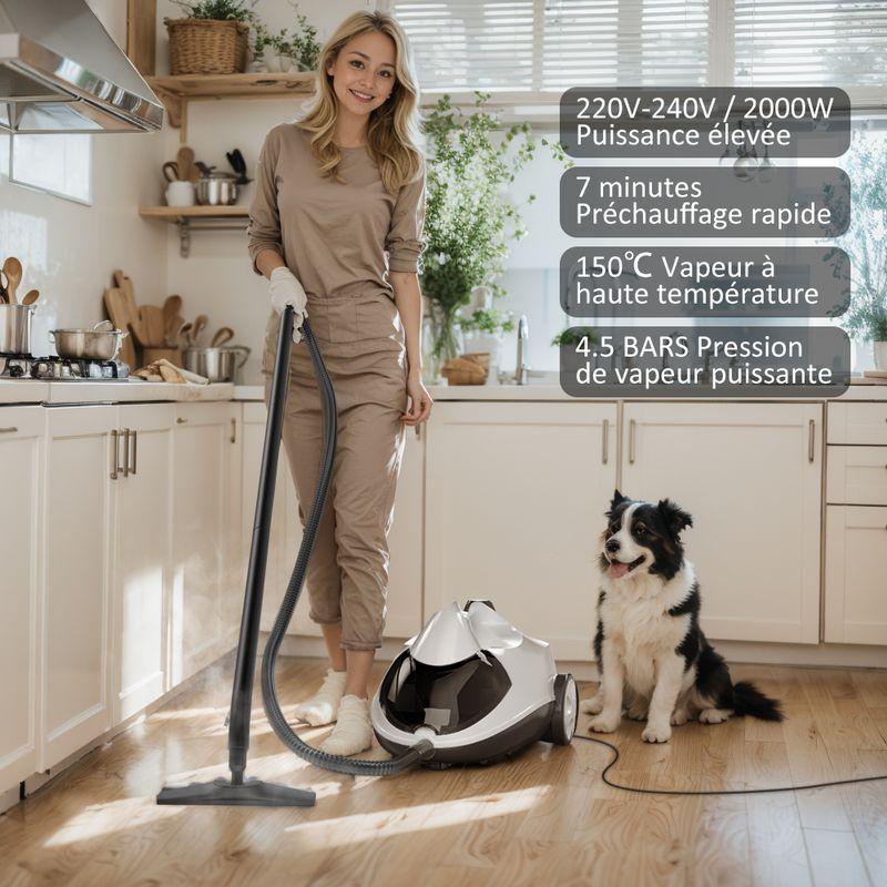 Steam Cleaner, Vapour Pressure: 4.5 Bar, Preheating Time: 7 Min, Power: 2000W, Surface: 80m², Tank: 2l, Floor Cleaning Set & Nozzles, 13