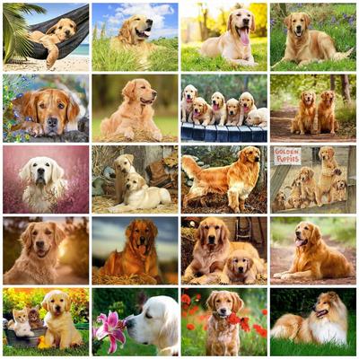 Pittura Diamante 5d Fai da Te Cane Labrador Decorazione Stanza Ricamo Diamante Animale Paesaggio Naturale Mosaico Immagine Cristallo