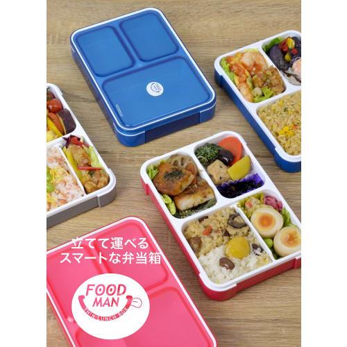 Foodman Bento Box, Slim, Can Be Carried Upright, 600ml, Clear Gray, Leak-Resistant, Double Sealing, Secured with 4-Point Lock, CB Japan, DSK