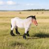 Solid Simulation Toy: Thousand Li Horse, Dutch Draft Stallion & Tennessee Walking Mare