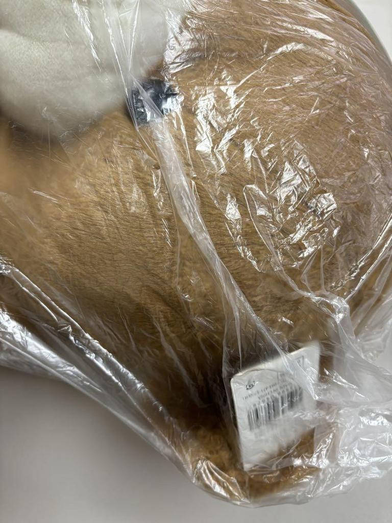 [USED] Teddy Bear Plush Toy Fluffy Bear Women's Kids Gift