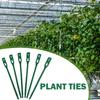 Adjustable Plant Cable Ties Plastic Plant Twist Ties Long-lasting Garden Ties  Greenhouse