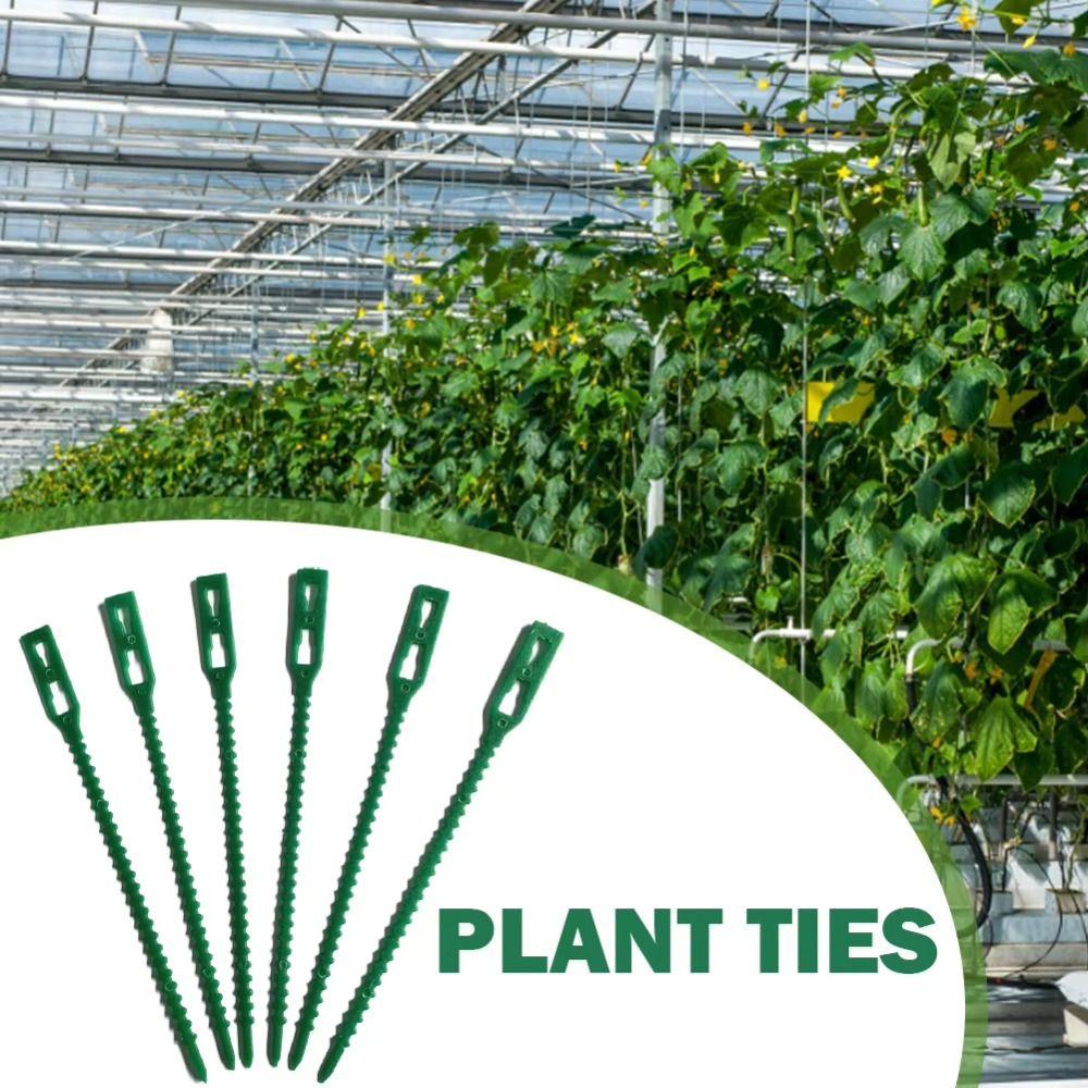 Flexible Plant Cable Ties Plastic Plant Support Clips Reusable Garden Ties  Outdoor Scenarios