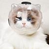 Transparent Breathable Cat Muzzle Anti-Licking Anti-Bite Cat Muzzle Protective Space Hood Anti Scratch Cat Grooming Accessories