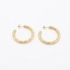Stylish And Simple Titanium Steel Twist Earrings Women'S Niche Light Luxury C Titanium Steel Earrings Do Not Fade