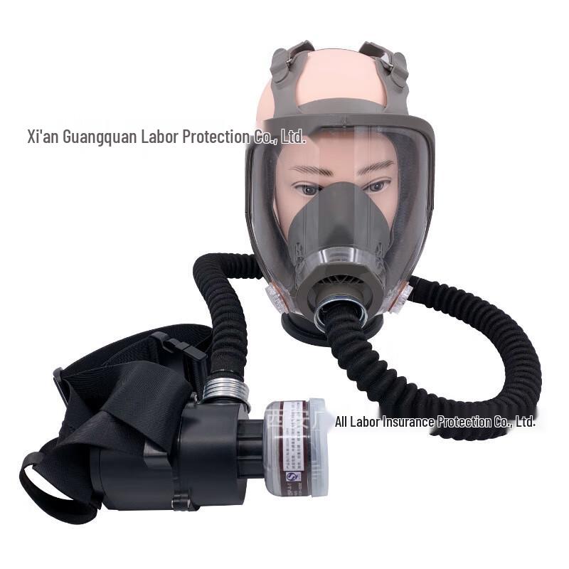 SANSHENG Electric Air-Supplied Full Face Respirator One Size