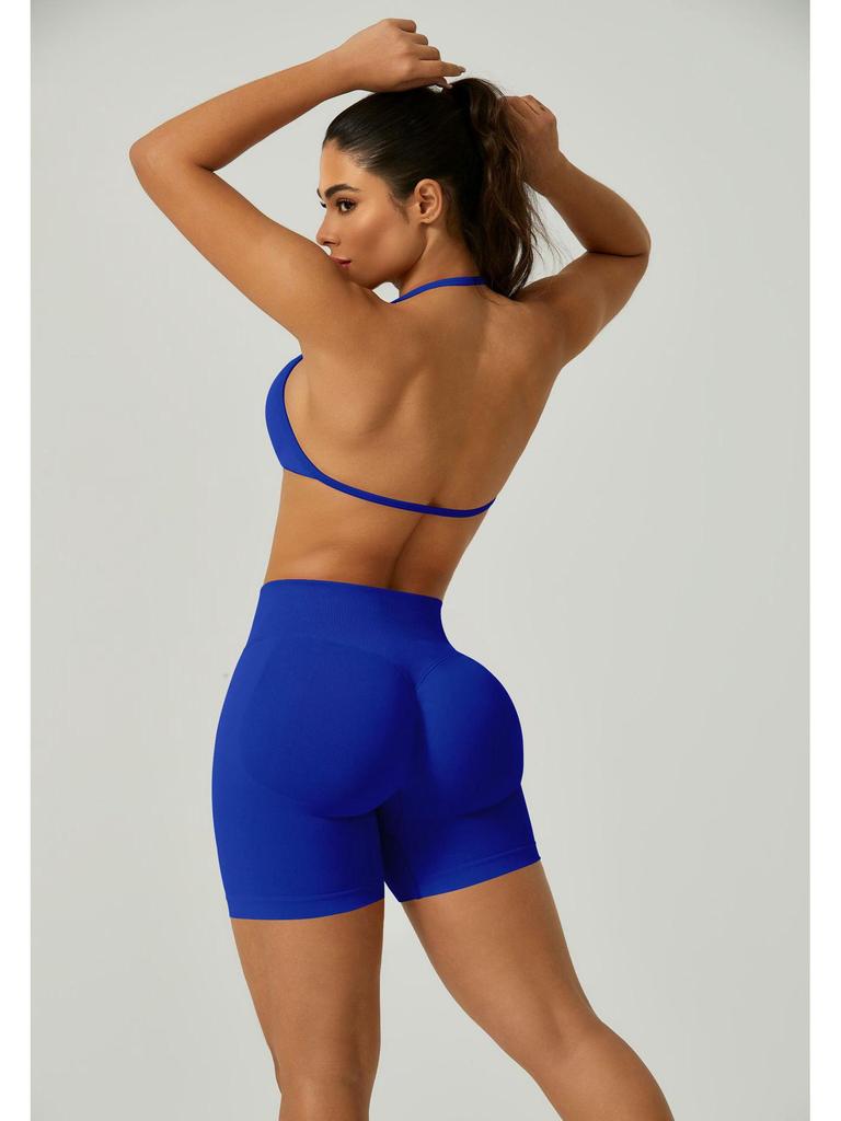 European Halter Neck Seamless Yoga Bra: Sexy, High Elasticity, Matte Finish, Beautiful Back Design