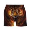 Sommer Herren 3D Druck Mode Cooles Tiger Muster Board Hawaii Kurze Hosen Lässig Mann Strandshorts Herren Streetwear Badehose