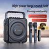 SANSUI K58 Portable Bluetooth Outdoor Speaker (CN Version)