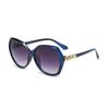 Non-polarized Elegant Large-frame Ladies' Sunnies, with Gradient Lenses and Decorated Temples. Perfect for Daily Sun Protection and Styling.