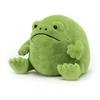 Schattige Regen Kikker Pluche Speelgoed Cartoon Knuffeldier Emotionele Steun Pop voor Stressverlichting en Cadeau
