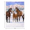 Bay Appaloosa Quarter Horses In Winter Snow Throw Blanket Sofa Blankets Ands Christmas Decoration Softest Blankets