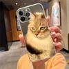 Baby cat Phone Case For iphone 17ProMax 17 Pro Air 16 15 14 13 Pro Max 16 15 14 13 Pro 15Plus