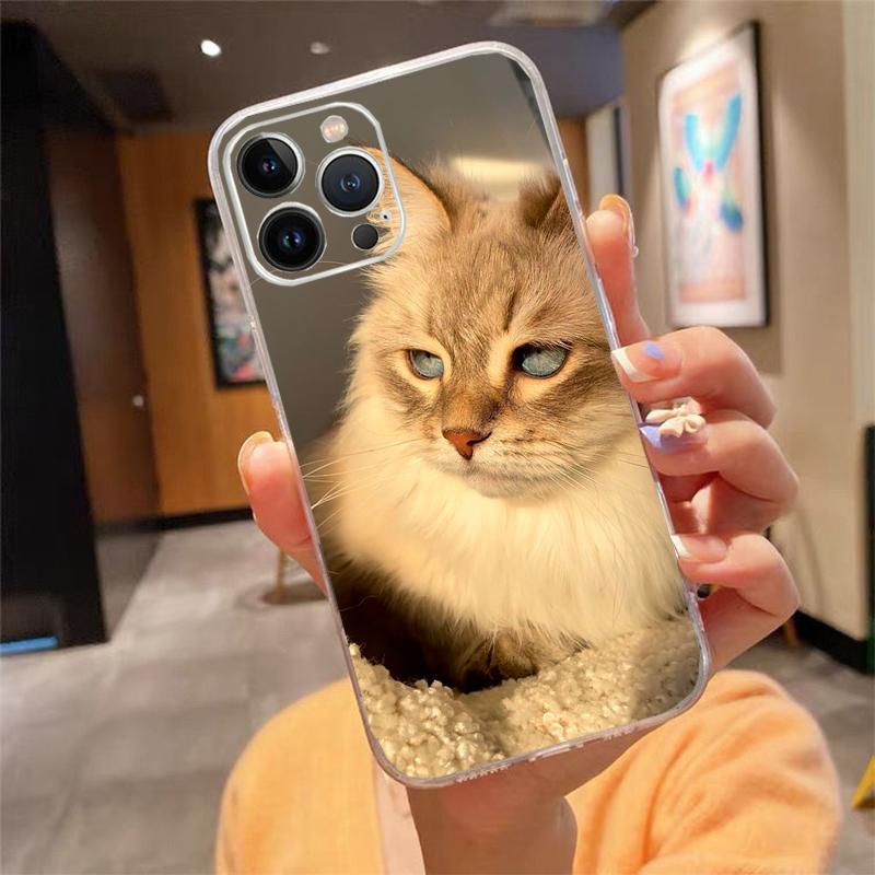Baby cat Phone Case For iphone 17ProMax 17 Pro Air 16 15 14 13 Pro Max 16 15 14 13 Pro 15Plus