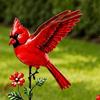 Outdoor Garden Bird Stakes Set of 4 Piece in Metal for Lawn and Soil Display, Red Yard Design for Front Yard Home Use with Bird Theme Across Home Yard
