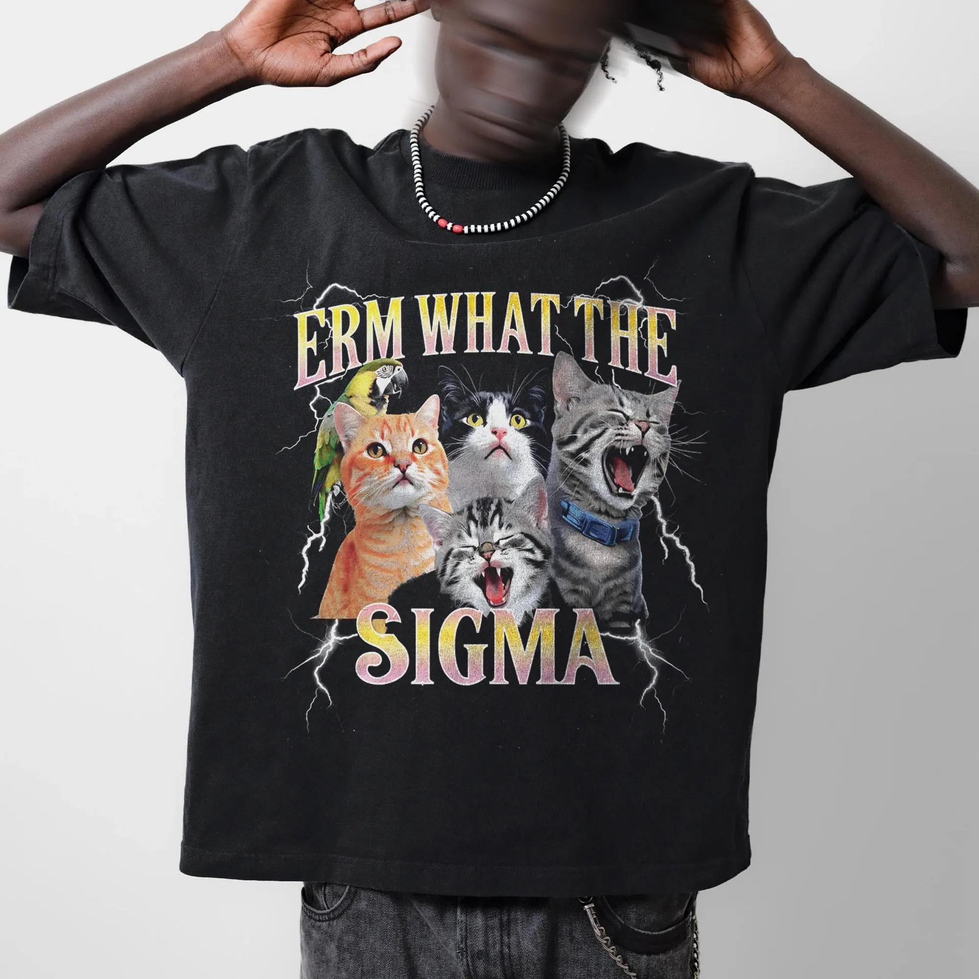 Erm What The Sigma Cat TShirt Funny Meme Unisex Tee Summer Mens and Womens Loose and Breathable Tshirt Top 2XL
