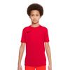 Childrens/Kids Dry Park VII Jersey