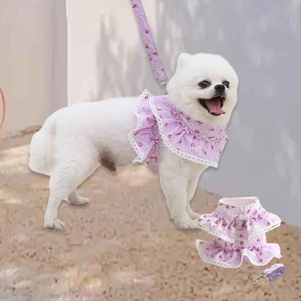Hundegeschirrkleid mit Leine für kleine Haustiere, florales Design, Haustierkleidung