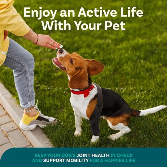 Dog Knee Brace for ACL Tear Adjustable Leg Support Bracket Dog Tendinitis Support Sleeve Easy Install Dog Leg Bracket