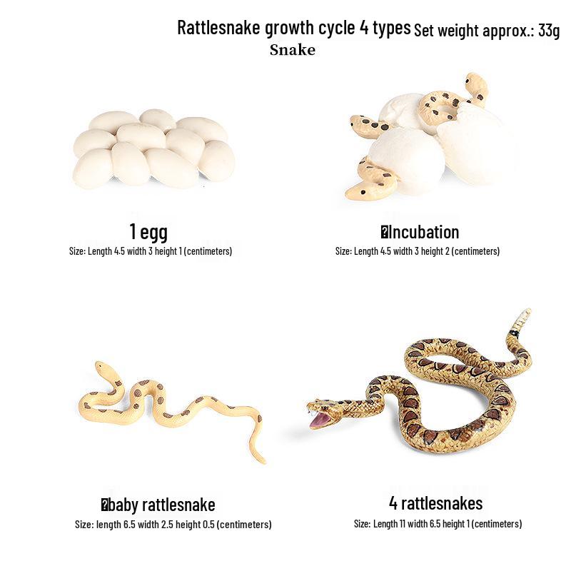 Crocodile Animal Model Toy: Caiman, Gharial, Nile Crocodile, Wild Boar, Deinosuchus - Kids' Educational Ornament