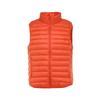 Men's High-End Lightweight Down Vest - Stand Collar, Short Style, Warm Inner Layer for Autumn and Winter