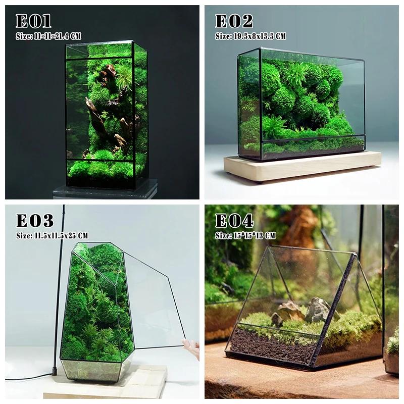 Mini Ver Rainforest Fougère Mousse Carré Écologique Géométrique Miniature Terrarium en Ver Pot à Plantes Récipient Serre de Table