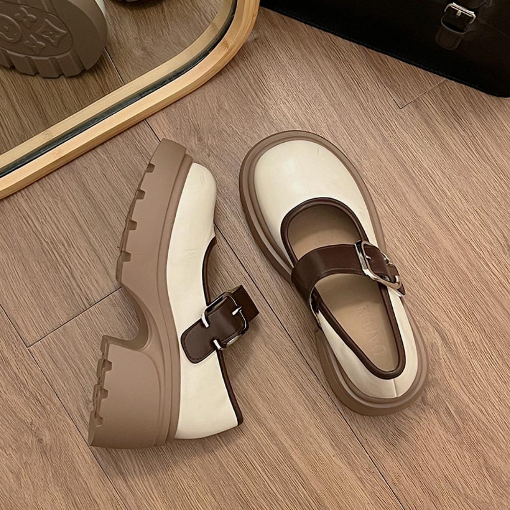 Pantofi singuri Casual Retro Toc gros Platforma Mary Jane Mici Pantofi din piele Femei