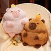 Multi-Function Capybara Plush Doll Nap Pillow Capybara Anime Fluffty Toy  Birthday Gifts