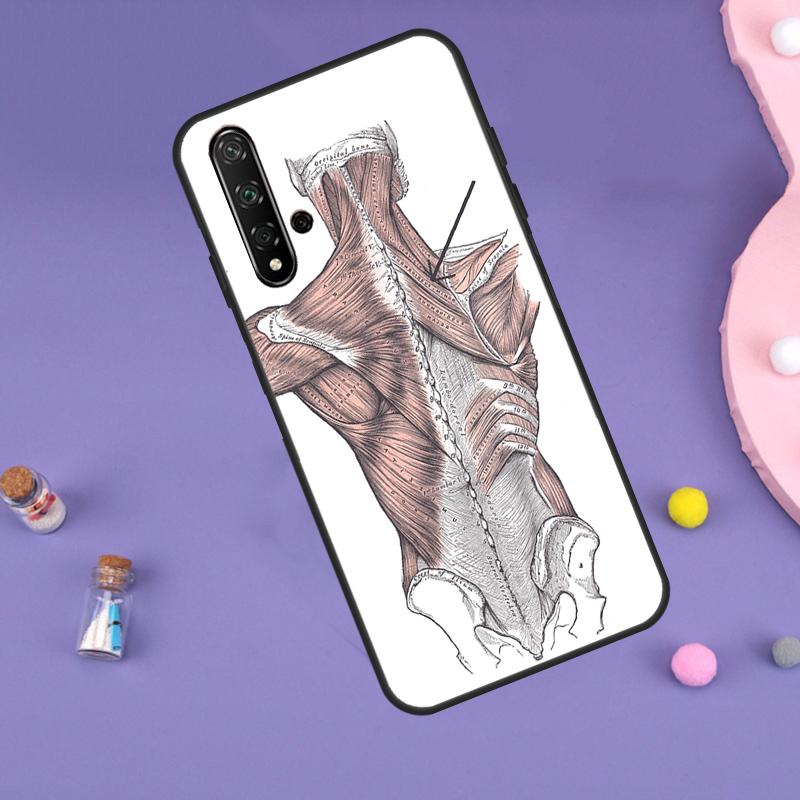 Human Anatomy For Huawei Nova 10 9 SE 3i 7i 8i 11i 12i Y60 Y61 Y70 Y72 Y73 Y90 Y91 P20 P30 P40 Lite Case