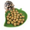 Healthy Feed For Pets Durable Plastic Bowl With Easy To Clean Drinking Bowl Dish Reptile Water Bowl Pet Bowl Feeder Small Leaf Style