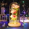 Preserved Rose In Glass Dome LED Light Up Eternal Flower Romantic Forever Rose Gift for Women Valentine's Day Mother's Day