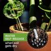 6 Cactus Shaped Automatic Watering Devices With Plastic Watering Balls