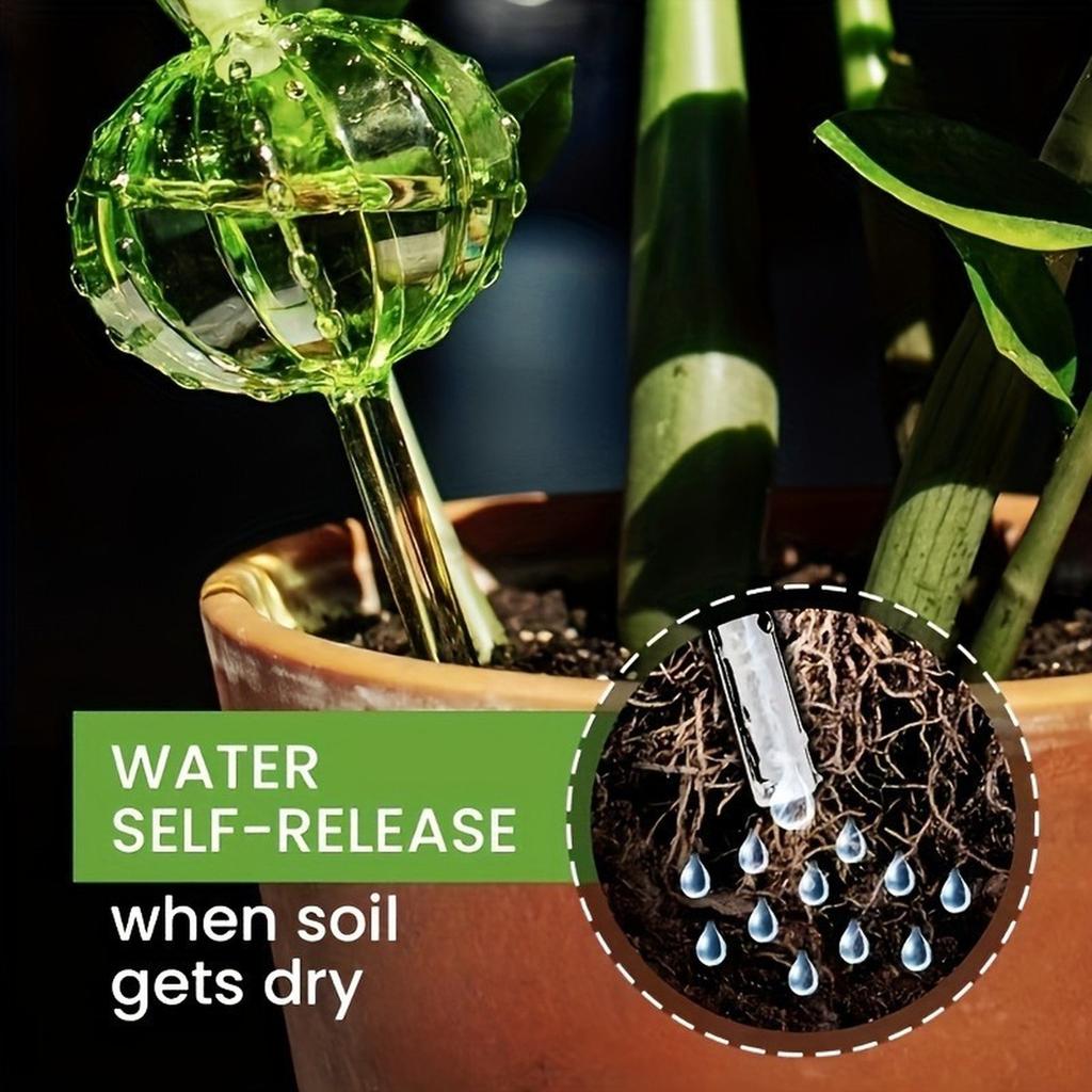 6 Cactus Shaped Automatic Watering Devices With Plastic Watering Balls