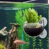 Hydroponic Fish Tank Planter Suction Cup Plant Holder Transparent Removable Fish Tank Landscaping Easy Grow For Vibrant Live