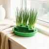 Hydroponic Scallion Planter Scallion 9 Slots Planter for Soil-Free Kitchen Counter Regrowing Container Scallion Regrowth Balcony