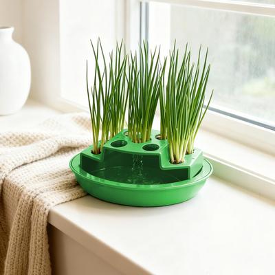 Hydroponic Scallion Planter Scallion 9 Slots Planter for Soil-Free Kitchen Counter Regrowing Container Scallion Regrowth Balcony